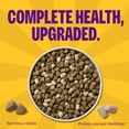 thumbnail image 2 of Wellness Complete Health+ Adult Dry Dog Food with Freeze Dried Wellbites, Wholesome Grain Kibble+, Natural, Chicken and Oatmeal Recipe, 4 lb Bag, 2 of 9