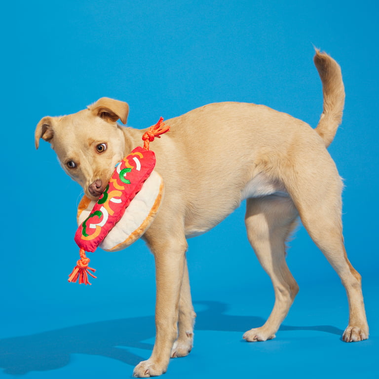 Bark Founding Funnel Cake - Yankee Doodle Dog Toy, Great for Hiding Treats, Xs-M Dogs, Size: ExtraSmall/Small Breeds