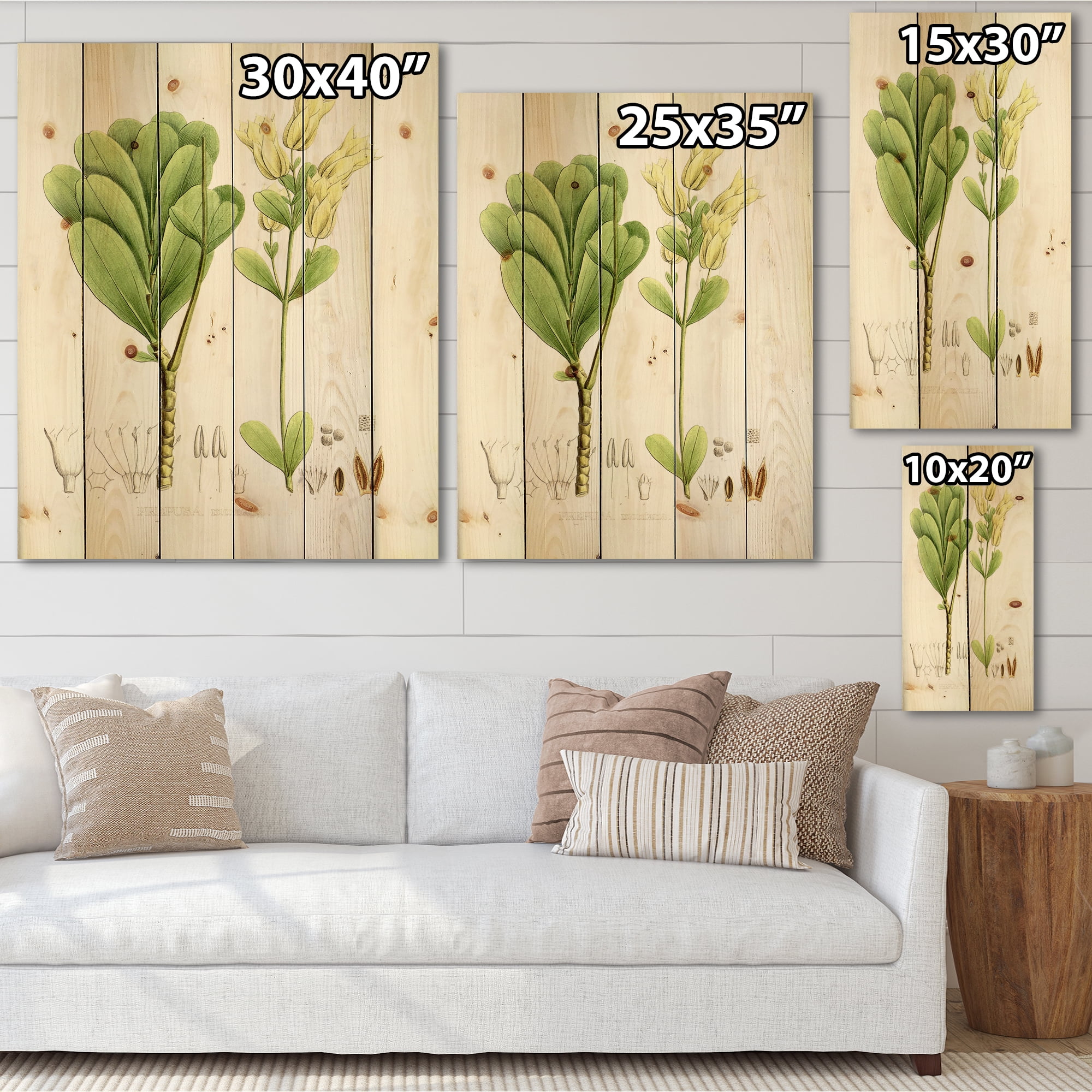 Designart 'Ancient Brazilian Plant III' Traditional Print on Natural Pine Wood