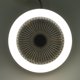 thumbnail image 5 of Lámpara de techo con ventilador de 5 aspas con temporizador silencioso (gris sin control) Likrtyny  Para estrenar, 5 of 8