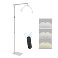 thumbnail image 1 of Graflsoa Adjustable 25W-35W LED Floor Lamp with 3000K-6000K Color Temperature, Dimmable Brightness, 360° Rotation, Foldable Design, Metal Stand, Phone Holder, and Remote Control for Vlogging and Live, 1 of 6
