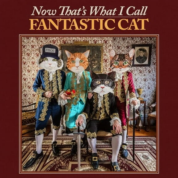 Fantastic Cat - Now That's What I Call Fantastic Cat - Music & Performance - Vinyl