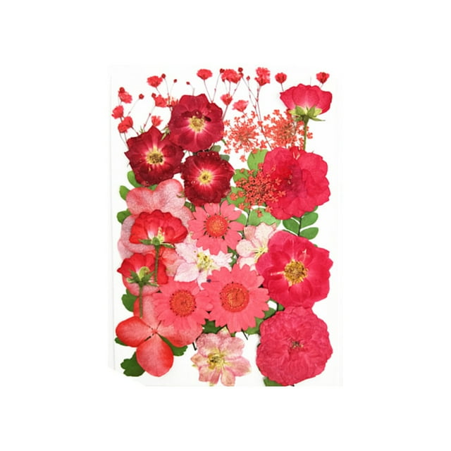 Dried Flowers Set Scrapbooking Decorating Tools Dried Real Flower Decal Handicraft Filling Pressed Specimen Label for Makeup Phone Use Type 2