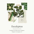 thumbnail image 3 of Loción de manos Thymes Replenishing Eucalyptus 280 ml para piel seca, 3 of 8