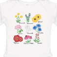 thumbnail image 4 of Inktastic Italian Wild Flower Chart Boys or Girls Long Sleeve Baby Bodysuit, 4 of 5