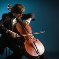 thumbnail image 4 of 44 Pièces de Rechange Violoncelle Érable Bride Ponticello String Lifter Instrument, 4 of 7