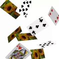 thumbnail image 2 of Woyr Black Cap Premium Plastic Coated Playing Cards Game Pack Of 6 For Adults - Multicolor, Card Game, Taash Cards, Playing Cards, 2 of 4
