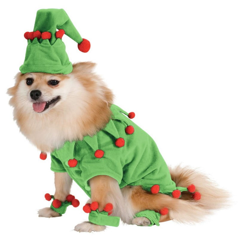 chihuahua elf costume