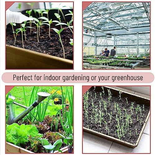 -Plastic Growing Trays, 5 Pack, Plant Tray, Seed Tray, Propagation Tray