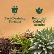 Miracle-Gro Indoor Potting Mix for Cactus and Succulent, Fast-Draining Formula, 8 qt.