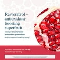 thumbnail image 4 of Youtheory Resveratrol with Acerola, 290 Count (1 Bottle), 4 of 7