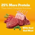 thumbnail image 5 of Pedigree High Protein Adult Dry Dog Food, Beef and Lamb Flavor, 27 lb. Bag, 5 of 10