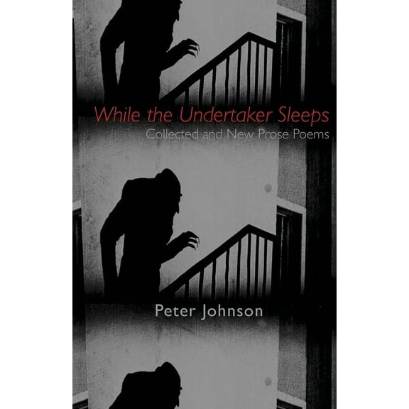 While the Undertaker Sleeps (Paperback)