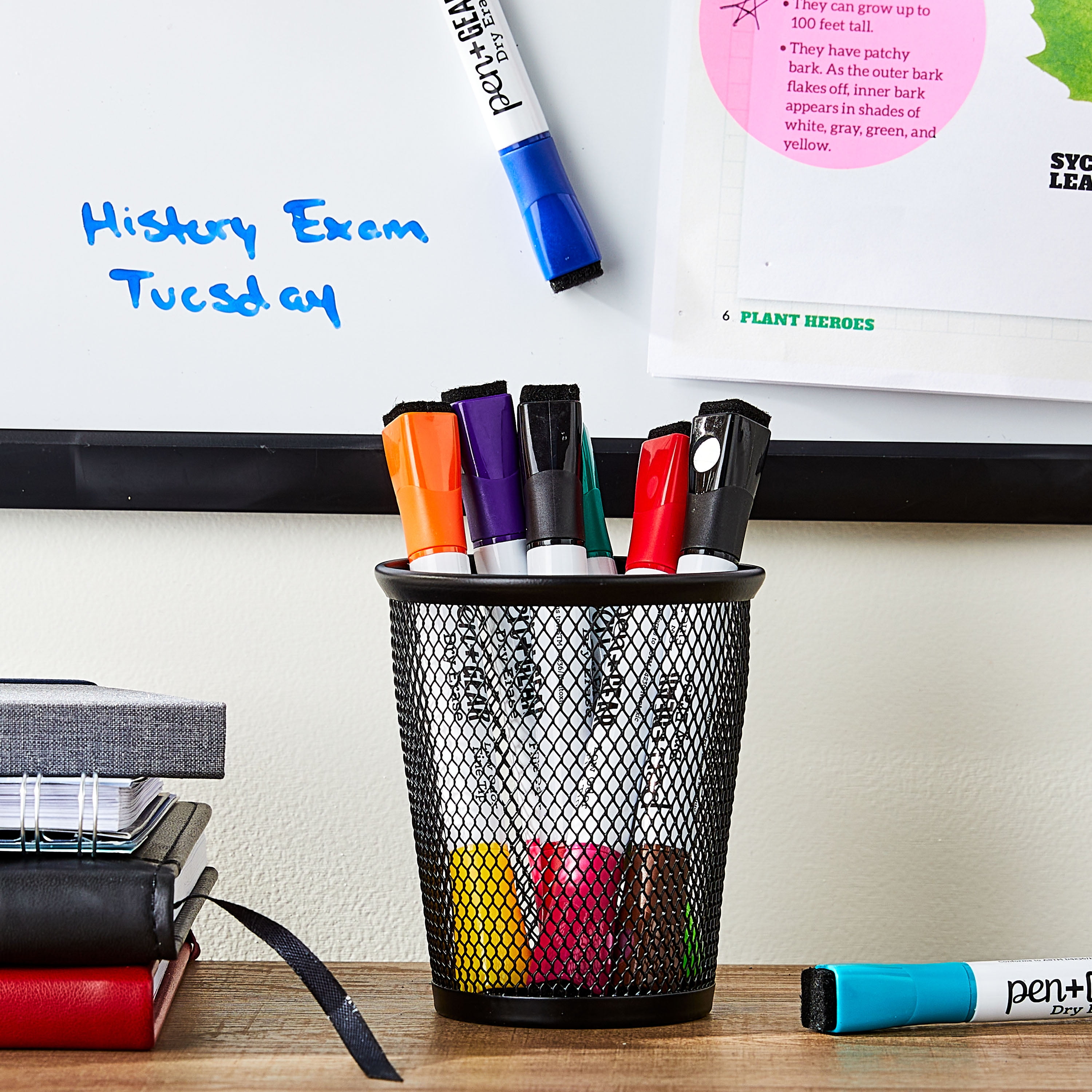 (4 pack) Pen+Gear 2-in-1 Magnetic Dry Erase Markers, Fine Tip, Assorted Colors, 8 Count