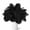 Black, variant on NOGIS 8-10 inch (20-25cm) Natural Ostrich Feathers for Wedding Centerpieces Home Decoration,Flower Arrangement,DIY Christmas Decorations Decoration (20pcs,Red)