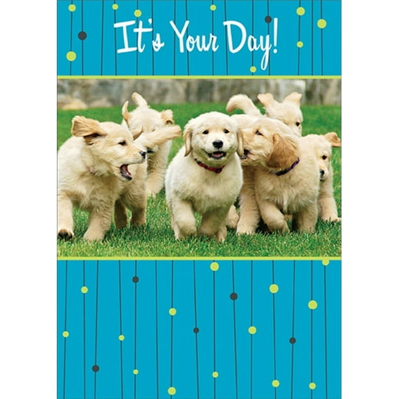 RSVP Pack of Golden Labrador Puppies Dog Birthday Card