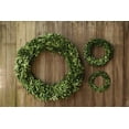 thumbnail image 2 of Round Boxwood Wreath, 9.75", Green, 2 of 2