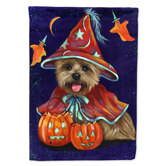 Carolines Treasures PPP3061CHF Cairn Terrier Halloween Witch Flag Canvas House Size  Large multicolor