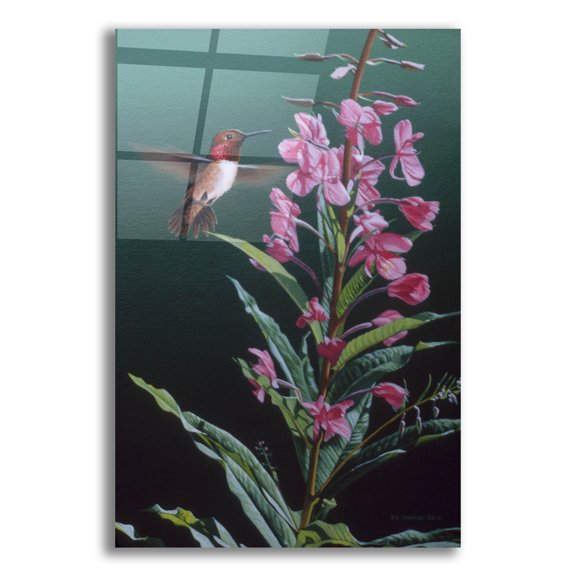 Epic Art 'Fireweed' by Ron Parker, Acrylic Glass Wall Art, 12"x16"