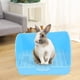 thumbnail image 4 of Caja de Arena para Conejos, Entrenador de Inodoro, Bandeja para Mascotas con Orinal de Rejilla para Chinchilla, Hámster, Conejo, Suministros, Accesori Azul Colco bandeja de arena para conejos, 4 of 8