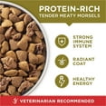 Purina ONE High Protein Dry Dog Food, Lamb and Rice Formula, 8 lb Bag