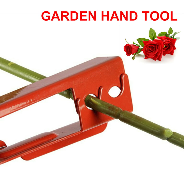 Hemoton Rose Removing Burrs Pliers Thorn Stripper Kit 3pcs Rose Leaf Thorn  Stripper Clip Stripping Tool Thorn Remover for Roses Garden Red Plant Stem