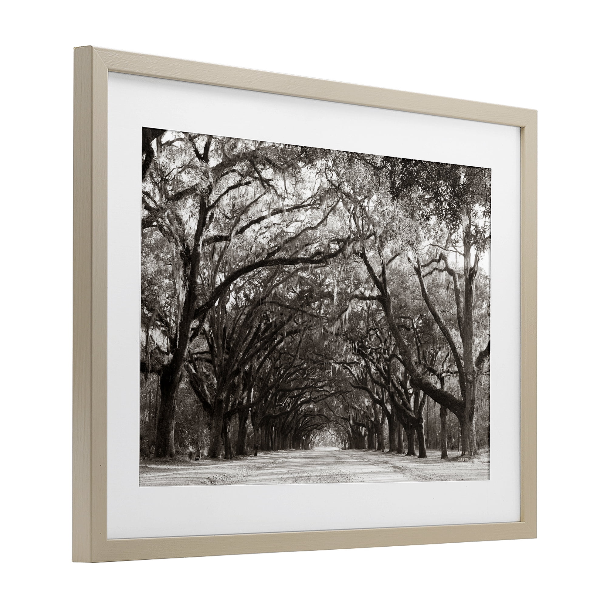 Stupell Industries Georgia Stroll Tree Tunnel Birch Framed Print Under Glass, design by Nathan Larson