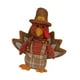 thumbnail image 2 of Muñeco de pavo de peluche para decoración de Acción de Gracias, divertido y lindo, para otoño Pararse, 2 of 9