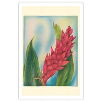Hawaii Red Ginger - Vintage Hawaiian Airbrush Art by Tip Freeman c.1940s - Fine Art Matte Paper Print (Unframed) 30x44in