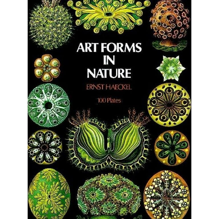 Dover Pictorial Archive Art Forms in Nature, (Paperback) - Walmart.com