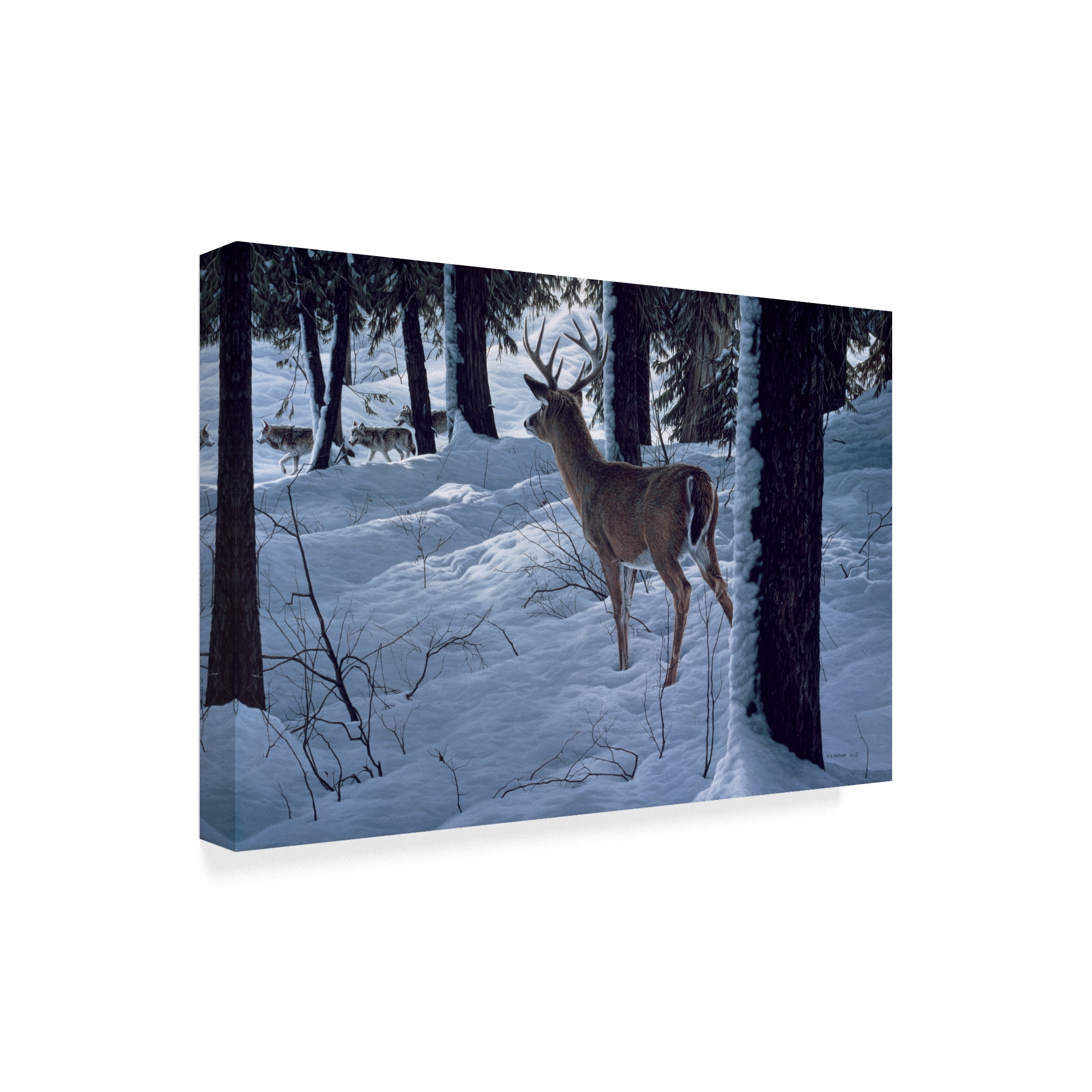 Trademark Fine Art 'Whitetail And Wolves' Canvas Art by Ron Parker