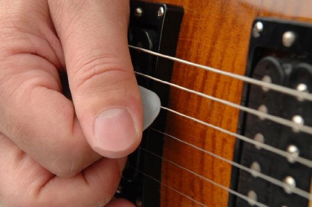 Planet Waves 1NFX4-100 NYLFLEX Classic Nylon Picks - 0.7 mm Medium, 10