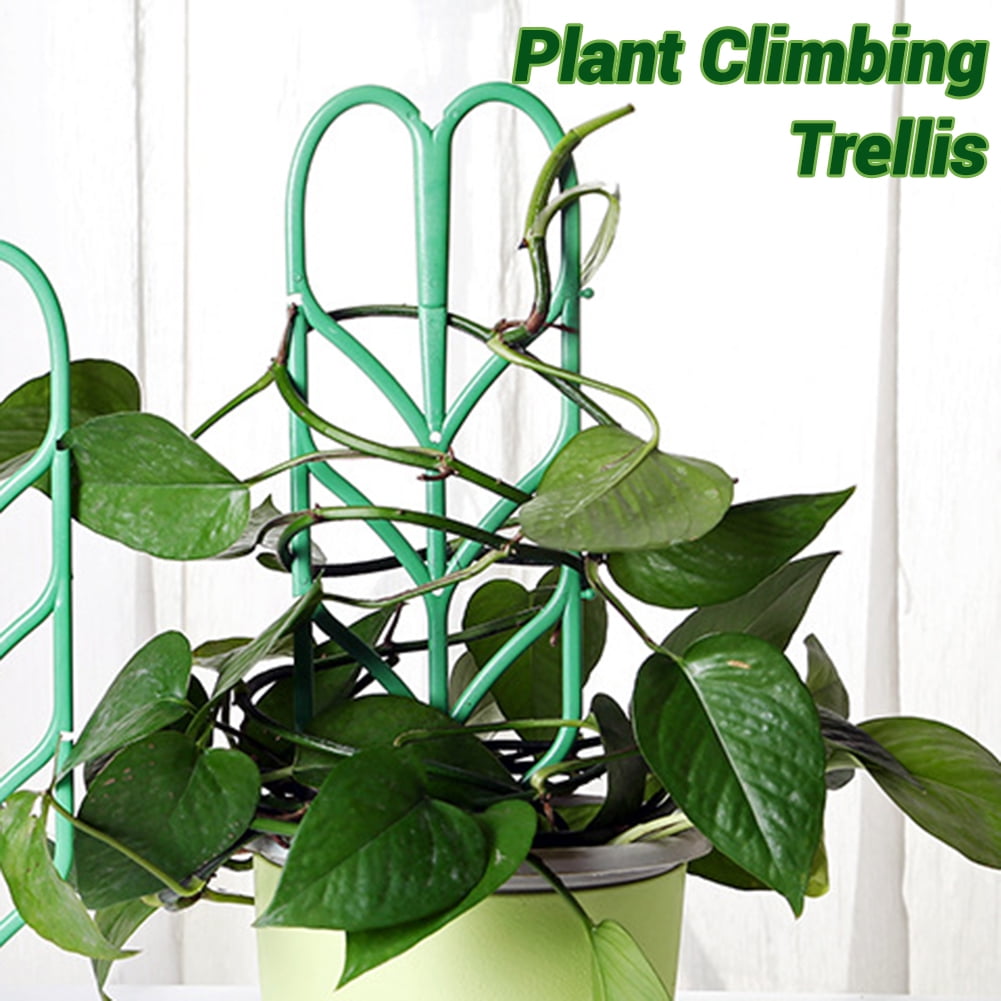 Raised Beds  Support Structures TADAE 3 Pack Garden Trellis Plastic Indoor Plant  Trellis Green Stackable Leaf Shape Mini Climbing Plant Stakes DIY Flower Pot  Support for Pea Vegetable Clematis anilsiriti.in