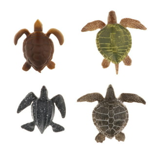 Mini Turtles - Pack of 12