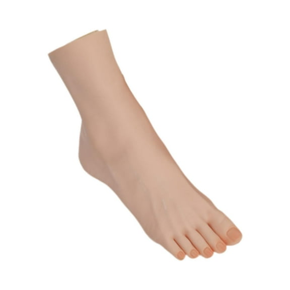 TOOYFUL Mannequin Foot Foot Model Display Shoes Display Props Jewelry Display Stand Medium Stocking Mannequin Manikin Feet for Retail Right foot