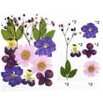 thumbnail image 1 of Natural Real Dried Flower Plants For Candle Epoxy Resin Jewelry Making Craft DIY, 1 of 7