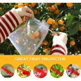thumbnail image 4 of 50 x Bolsas protectoras para frutas, bolsas de protección para uvas, bolsas de organza reutilizables para jardín con cordón para protección contra avispas y pájaros, 30 cm x 20 cm, blancas, 4 of 5