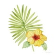 thumbnail image 4 of Gango Home Decor Tropical Treasures of the Tropics VIII, XI, & XI by Kathleen Parr McKenna (Ready to Hang); Three 12x12in Brown Framed Prints, 4 of 6