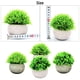 thumbnail image 2 of Mini plantas artificiales en maceta, pequeñas plantas de interior y exterior de nuestra tienda online. Gris b, 2 of 7