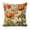 Flowers grass sunny day1, variant on Flowers, pumpkinslinen toss pillowcase decoration pillowcase gifting preferred 18x18 inch cushion cover sofa pillowcase sofa bedroom living room car