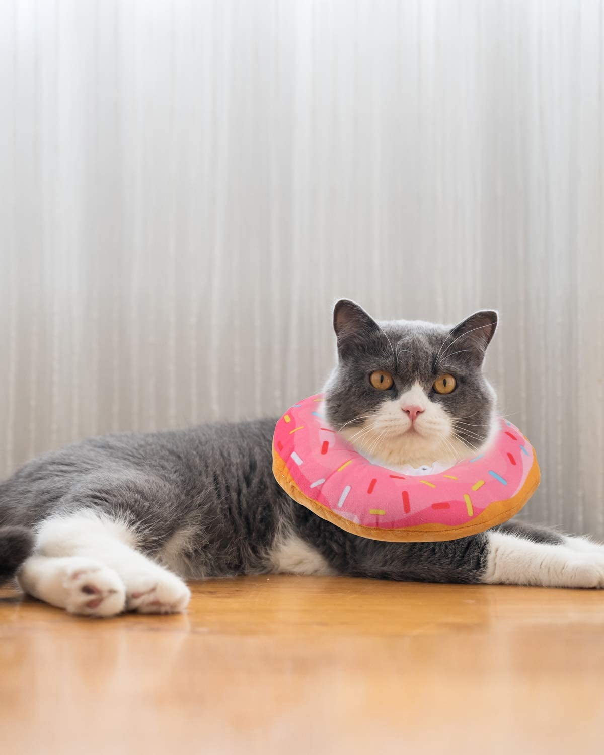 Adjustable Cat Cone Collar Soft, Donut Cat Recovery Collar, Cone for Cat After Surgery, Cat Neck Cone, Elizabethan Collar for Cat and Kitten