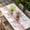 Pink, variant on Dark Green Striped Table Cloths for 4 Foot Rectangle Tables, Abstract Modern Geometric Stripes Patio Waterproof Elastic Fitted Tablecloths, Washable Rectangular Table Cover for Camping