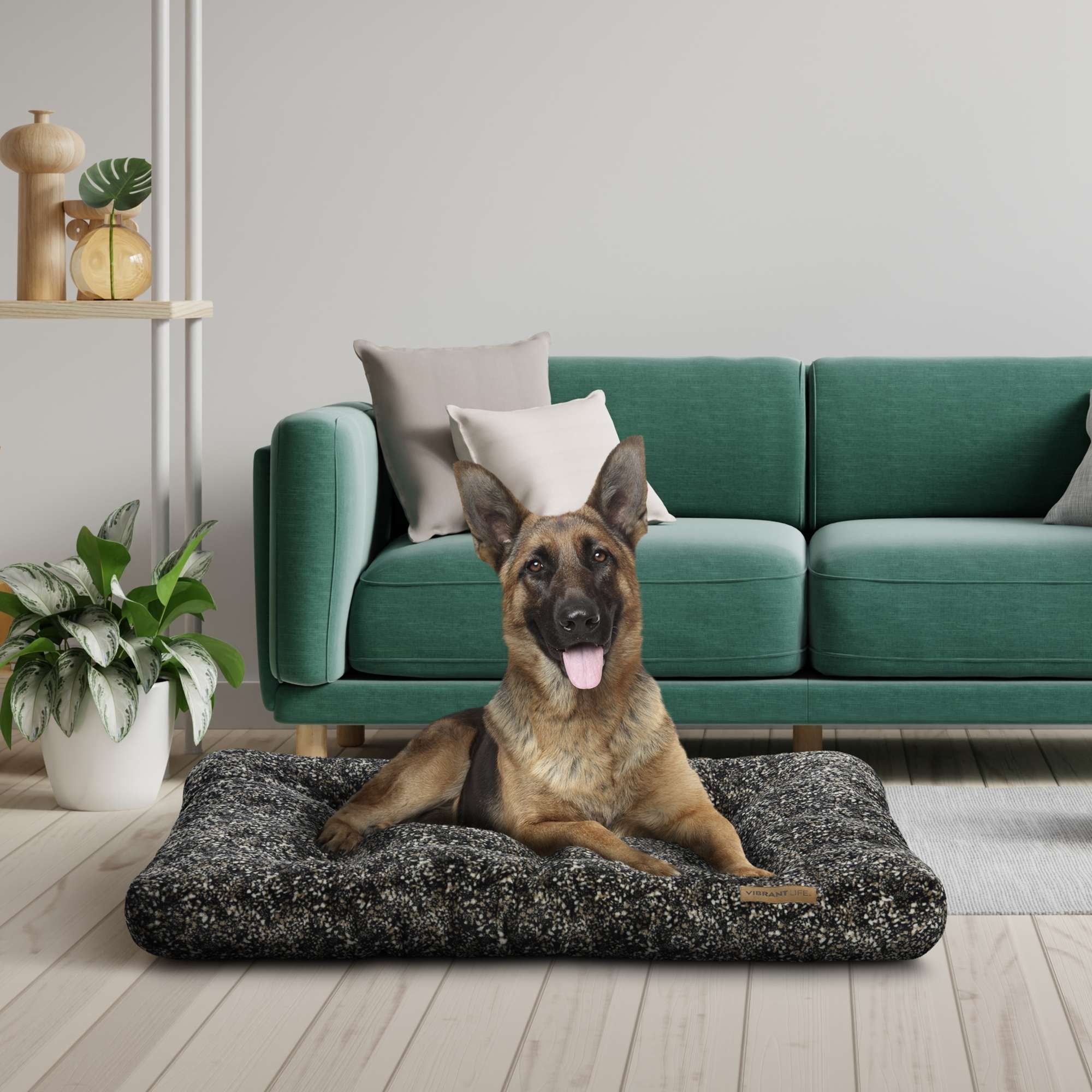 (2 pack) Vibrant Life Large Dog Bed, Plush Pillow Bed For Large Breeds, Large, 42" x 32", Black