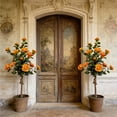 thumbnail image 6 of Artificial Camellia Tree 34.6in Faux Orange Plant Fake Flowers for Home Decor Indoor Outdoor Planter Display Entrance Decoration, 6 of 8
