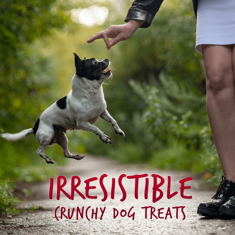 Skinny mini fashion dog treats