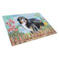 thumbnail image 1 of Carolines Treasures CK1207LCB Bernese Mountain Dog Spring Glass Cutting Board, Large, 1 of 2