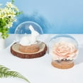 thumbnail image 5 of Clear Glass Cloche Display Dome with Cork Base Eternal Transparent Flower Glass Cover 4.3x4.25inch, 5 of 6