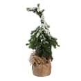 thumbnail image 5 of Evergreen Beautiful Christmas Snow Covered Tree in Burlap Pot Table Top Decor, Set of 2 - 6x6x15 in Indoor/Outdoor Decoration, 5 of 5