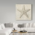 thumbnail image 3 of Trademark Fine Art 'Coastal Beauty II' Canvas Art by Lisa Audit, 3 of 3