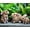 Brown, variant on Frog Figurine Garden Decor Set of 3, Funny Lazy Frog Garden Statues Yard Decoration Outdoor Holiday Decorations, Unique Yart Art Outdoor Lawn Ornament for Outside Pond Pool Patio Front Porch Backyard